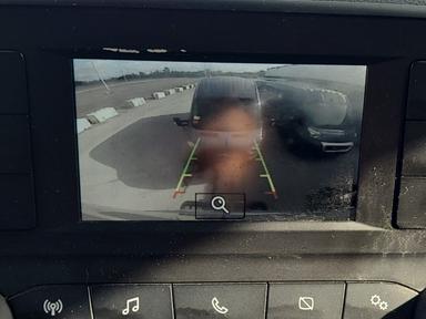 Ford Transit-250 Cargo Van 2021 - Thumbnail 2