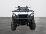 Kawasaki Brute Force 2x4 2023 - Thumbnail 10