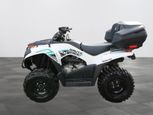 Kawasaki Brute Force 2x4 2023 - Thumbnail 7