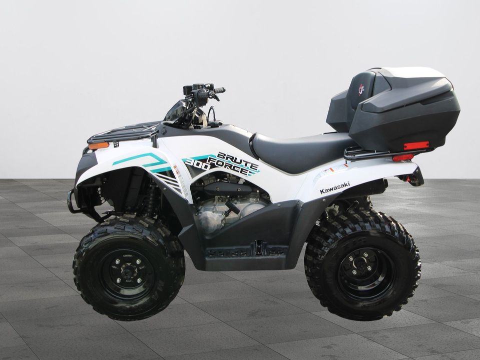 Kawasaki Brute Force 2x4 2023 - Image 7