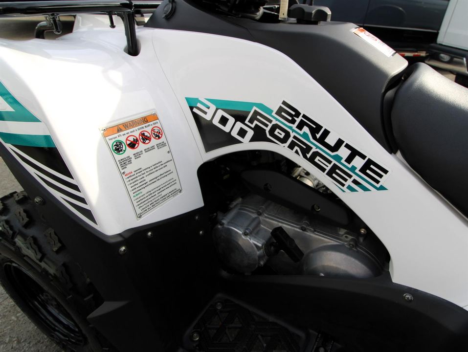 Kawasaki Brute Force 2x4 2023 - Image 6